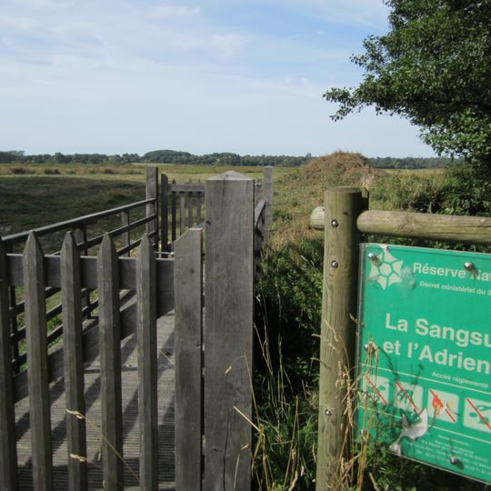 Sangsurière Et De L'Adriennerie