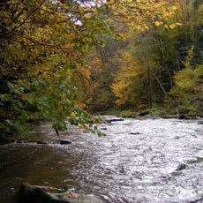 Rezerwat przyrody Przełom Jasiołki