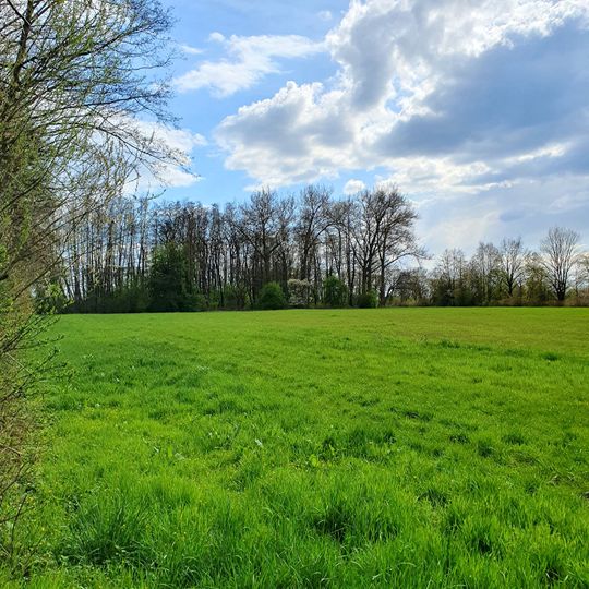 Kämmereiforst und Leineaue