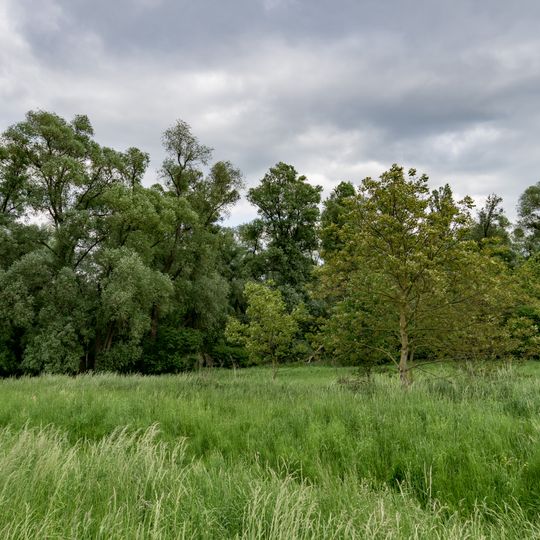 Tongrubengelände von Bensheim und Heppenheim