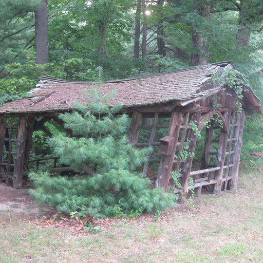 Shade Swamp Shelter