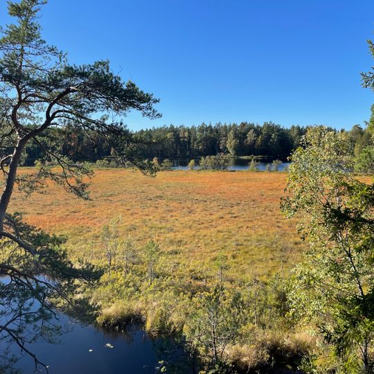 Pilthyttedammen Nature Reserve