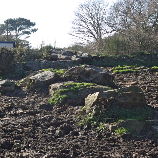 Dolmen de Kervehennec