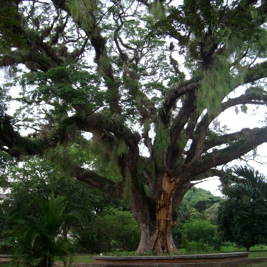 Jardín Botánico de Naguanagua