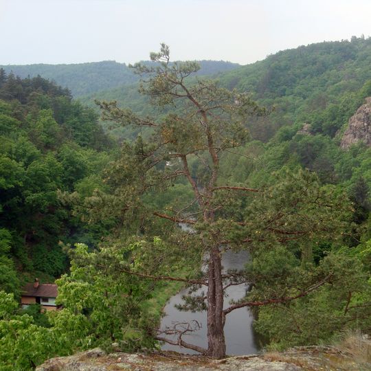 Střední Pojihlaví