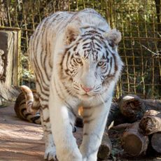 Zoopark Stara Sagora