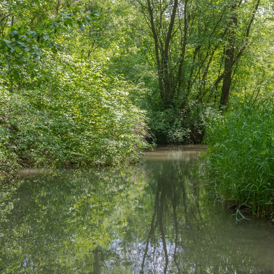 Traunauen bei St. Martin
