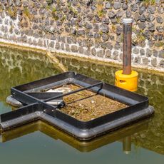 Shoreliner (Stavoren)