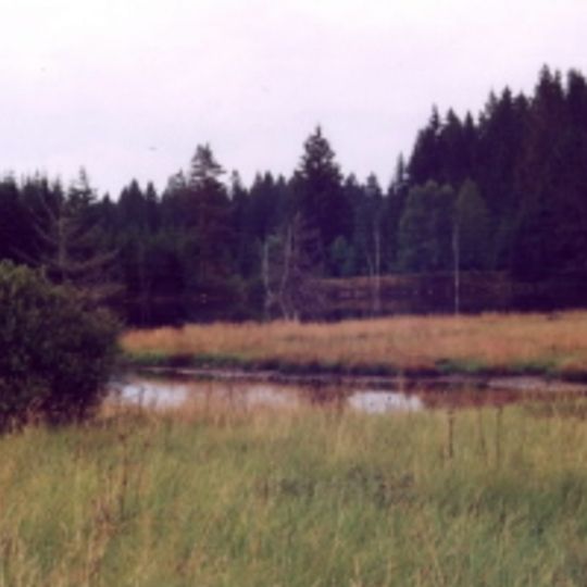 Rašeliniště Kapličky