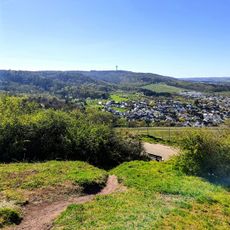Steppenheide "Michaelsberg"
