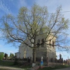 Oak of Shashkevych, Shmankivtsi