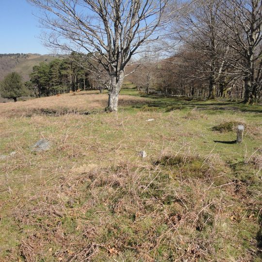 Pagolletako zelaia 2