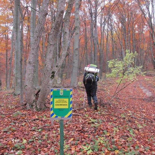 Sasivs'ka botanical nature monument