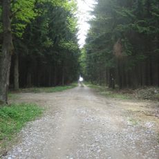 Fürnberg´sche Poststraße (Abschnitt in der KG Aschelberg)