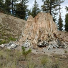 Florissant Fossil Beds National Monument