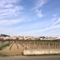 San Marzano di San Giuseppe