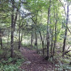 Bjørgedalen naturreservat