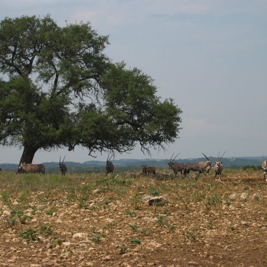 Natural Bridge Wildlife Ranch
