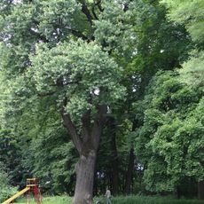 Manor park in Wielkie Drogi