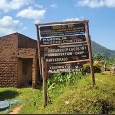 Pangolin Rescue Camp