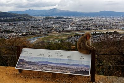 La vue 2