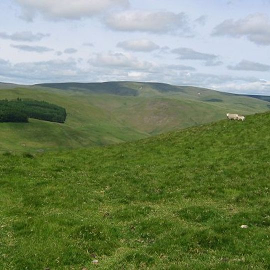 Windy Gyle