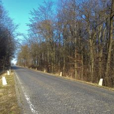 Höhenstraße in Neuwaldegg