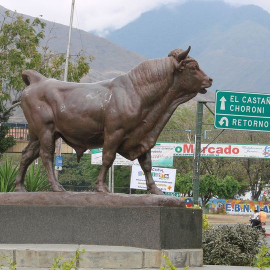 Toro de Las Delicias