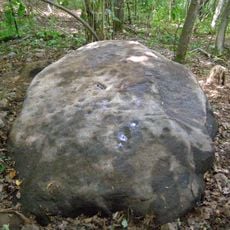 Kašučių III akmuo su dubenėliais