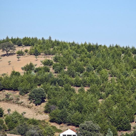 Capela de Santa Eufémia