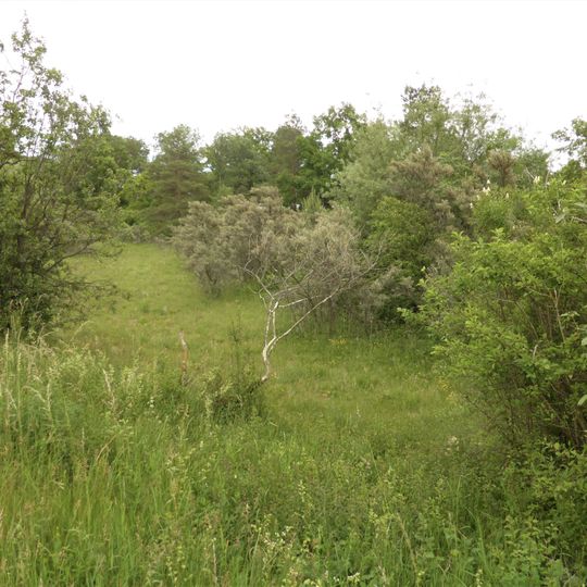 Magerstandorte bei Rosenau