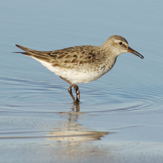 Reserva Costa Atlántica