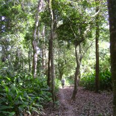 Territoire indigène et parc national Isiboro-Secure