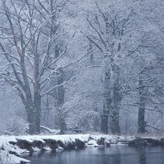 Biosphere Reservation Neroessa-Desna-Polesia