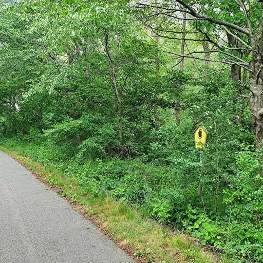 Quellteiche am Grenzgraben