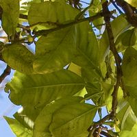 Province of Valencia