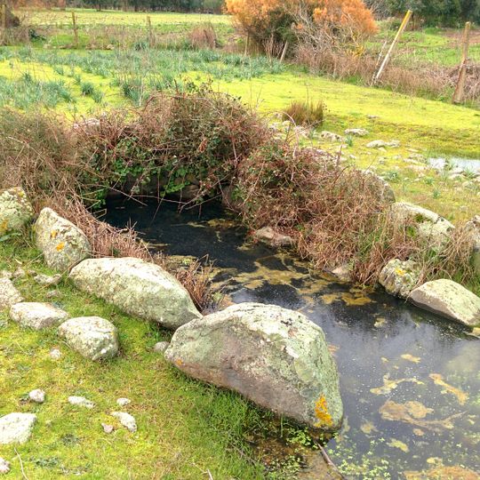 Pozzo  sacro Sa Mitza de Nieddinu