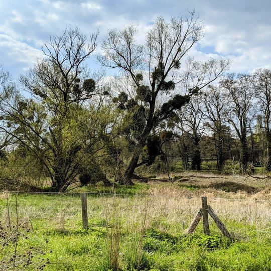 Espace naturel de Perray-Vaucluse