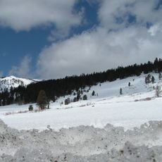 Tahoe National Forest