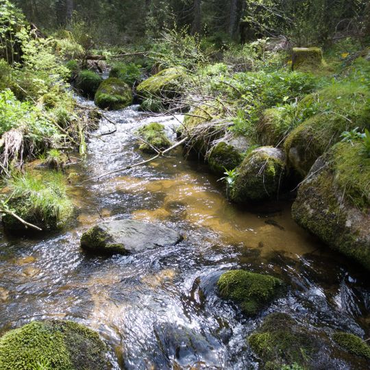 Rohrhardsberg, Obere Elz und Wilde Gutach