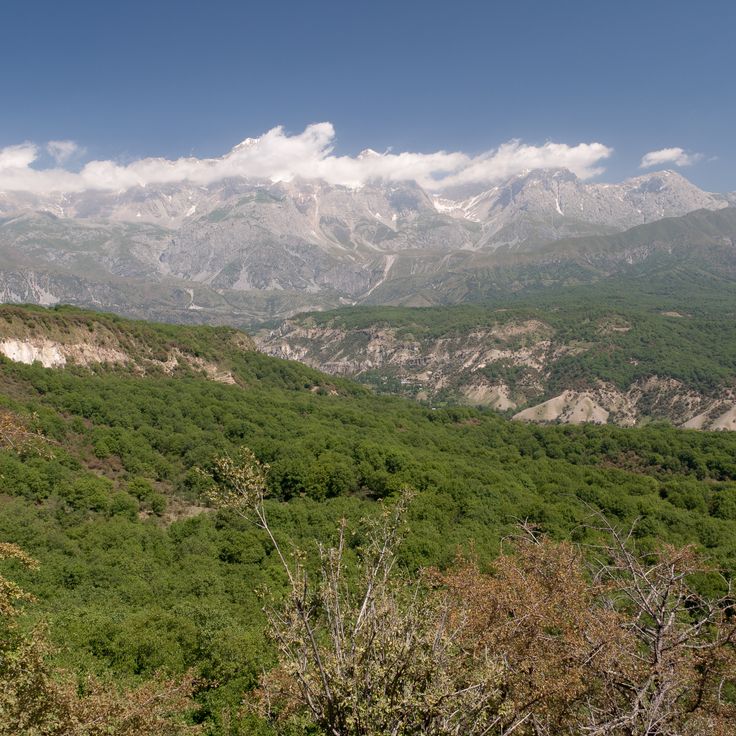 Walnusswald Arslanbob