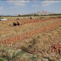 shahrestān di Mobarakeh