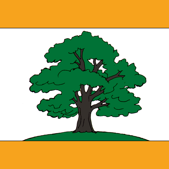 Пронское городское поселение