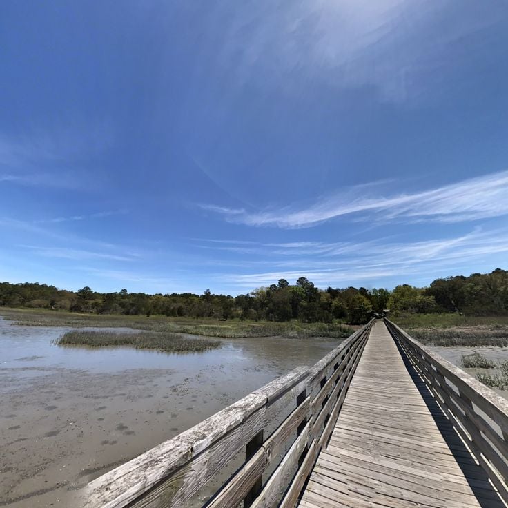 Parco statale di Huntington Beach