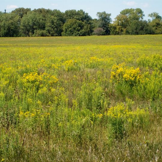 Midewin National Tallgrass Prairie