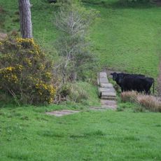 Hadrian's Wall between the road to Garthside and The Centurion Inn, Walton, in wall miles 54 and 55