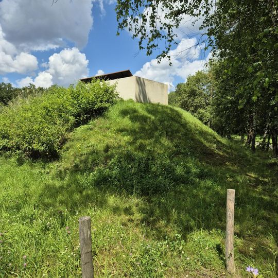 Tower, Observation tower, scenic viewpoint