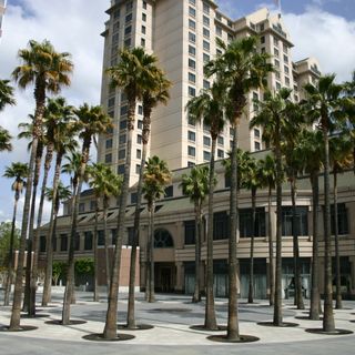 Circle of Palms Plaza