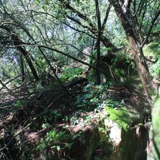 Estação arqueológica do Alto do Coto da Pena