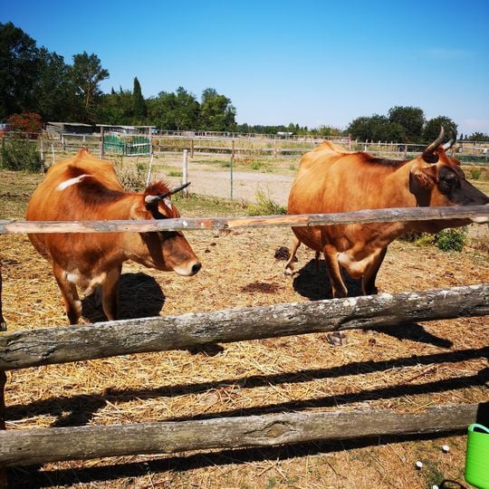 Ferme pédagogique de la Matarelle